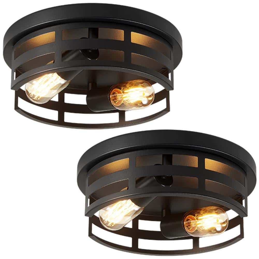 10.8 in. 2-Light Black Industrial Style Cage Ceiling Light (Bulb Not Included) price history on PriceWatchPro