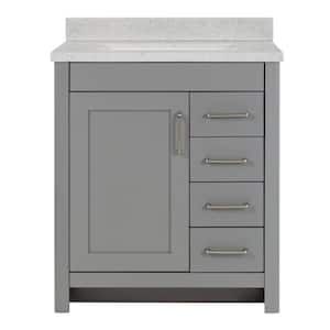 Westcourt 31 in. W x 22 in. D x 39 in. H Single Sink  Bath Vanity in Sterling Gray with Silver Ash Solid Surface Top