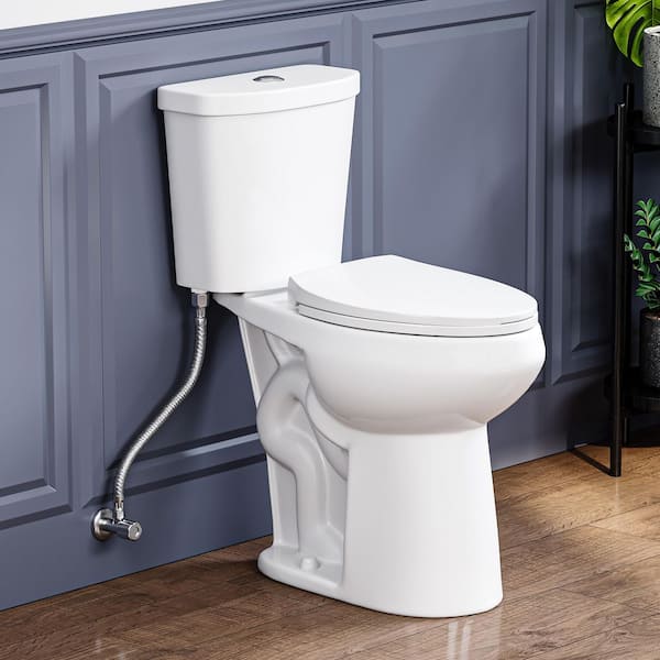 Dayton 12 in. Rough-In 2-Piece 21 in. Extra Tall 1.1/1.6 GPF Dual Flush Elongated /Toilet in White,with Soft Close Seat