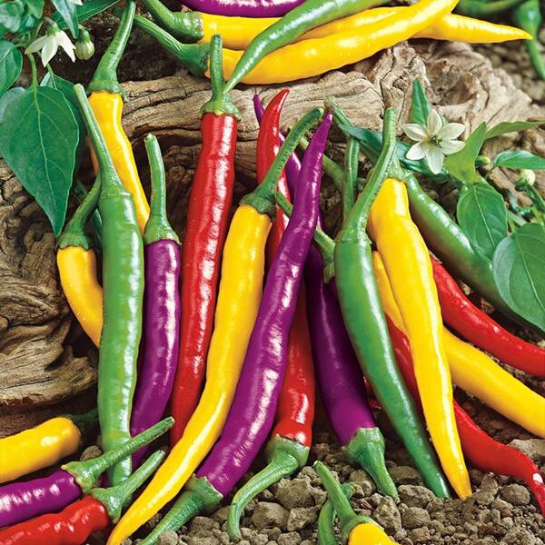 Hot Pepper Appx 30 seeds Anaheim Vegetables / Fruits