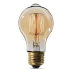 60-Watt A19 Edison Dimmable Incandescent Amber Glass Vintage Light Bulb with Cage Filament Soft White