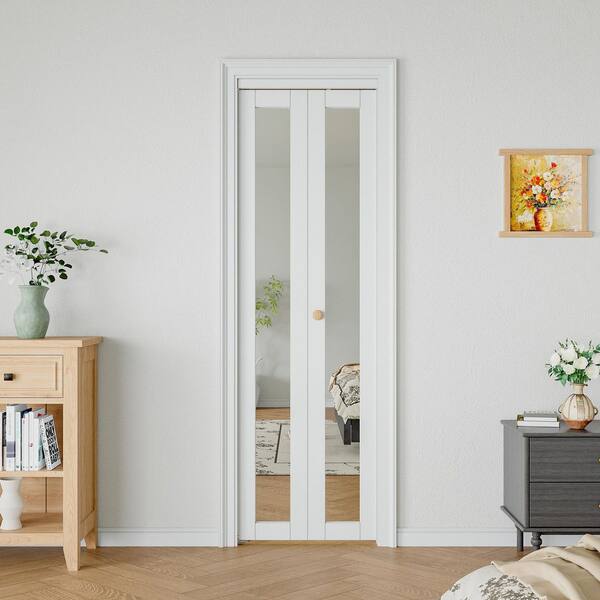 Moristar 24 in. x 80 in. 1 Lite Mirrored Glass Solid Core