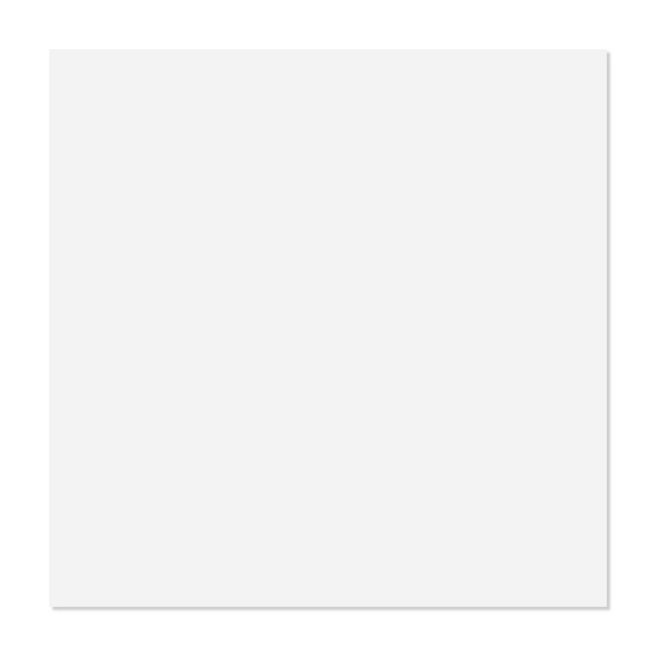 White 2 ft. x 2 ft. Decorative Smooth Ceiling Tile 48 (sq. ft. / case) 12-Tiles