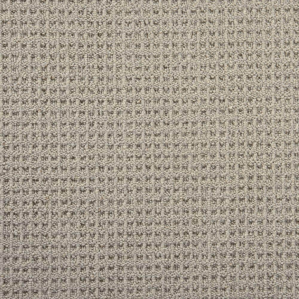 6 in. x 6 in. Multi-Level Loop Carpet Sample - Shenadoah - Color Silt price history on PriceWatchPro