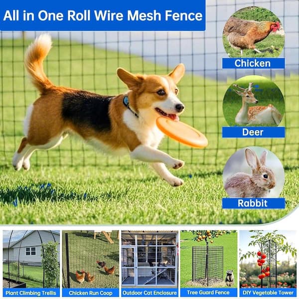 36 in. x 33 ft. 16-Gauge Animal-Safe Vinyl Coated Wire Mesh, 2 x 3 Grid for Poultry Cage Protection