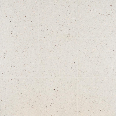 Raleigh Ivory Square 16.14 in. x 16.14 in. Polished Terrazzo Floor and Wall Tile (3.61 sq. ft. / Case)