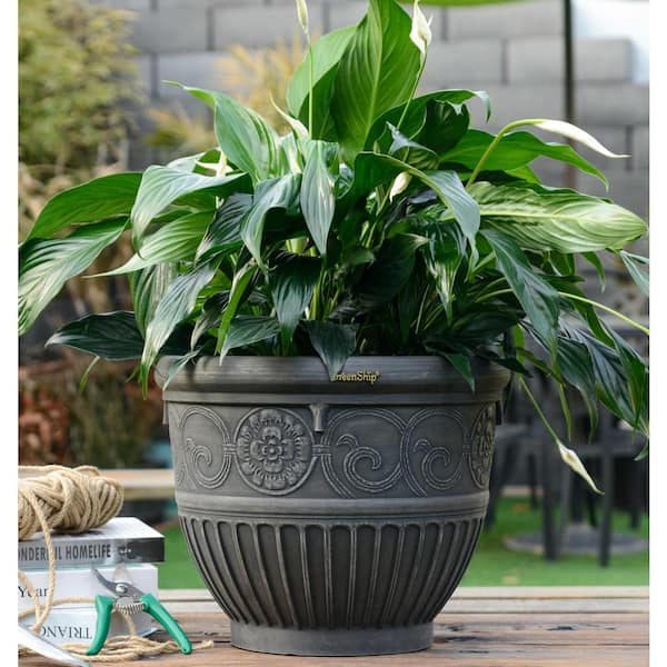 GreenShip Medallion 16 in. W x 13.2 in. H Black Indoor