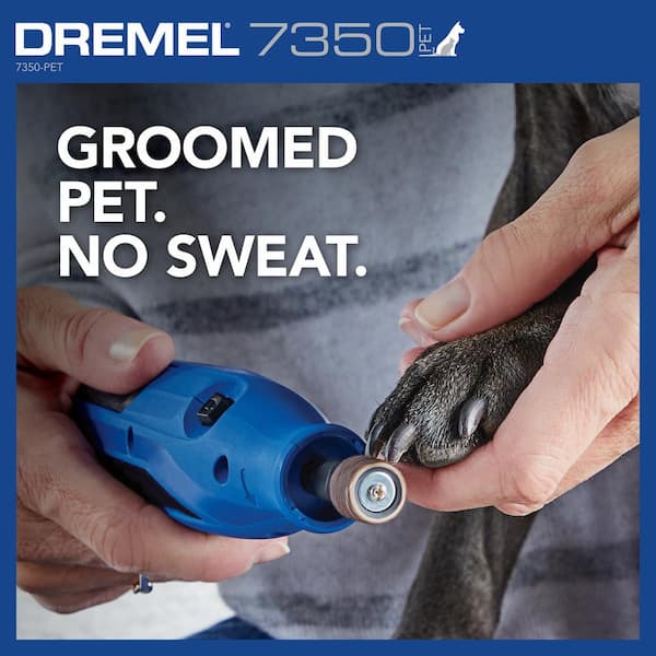 Opgetild Harmonisch Adolescent Dremel 4-Volt 2 Amp USB Cordless Rotary Tool Pet Nail Grooming Kit with 5  Sanding Bands 7350-PET - The Home Depot