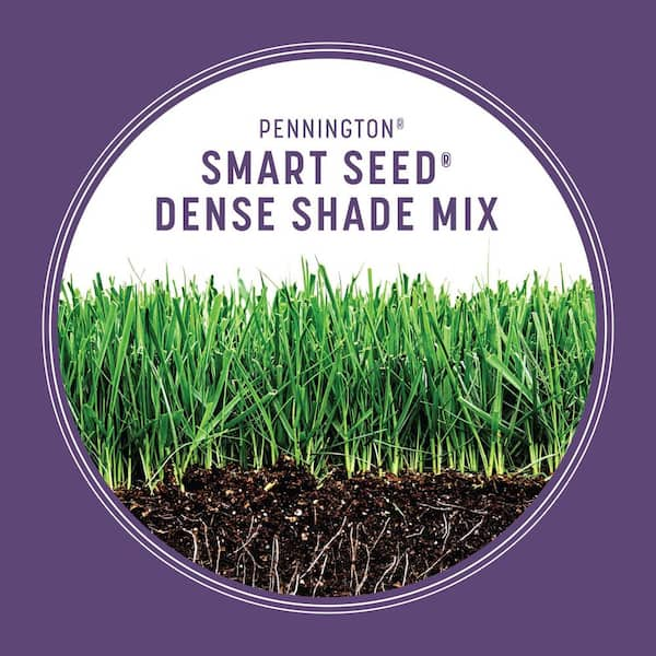 pennington smart seed 7 lbs dense shade grass seed and fertilizer 100543703 the home depot