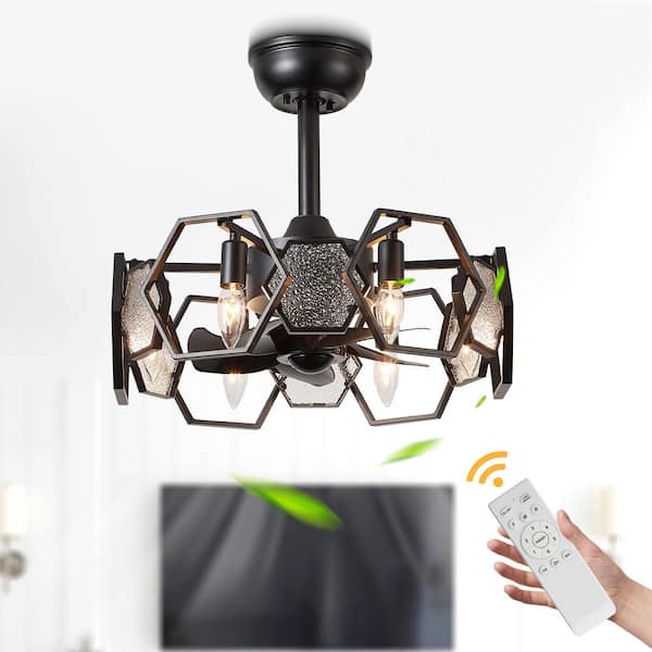 Vintlume 19 in. Indoor Matte Black Metal Caged Ceiling Fan with Light and Remote, 6-Speed Reversible Fan