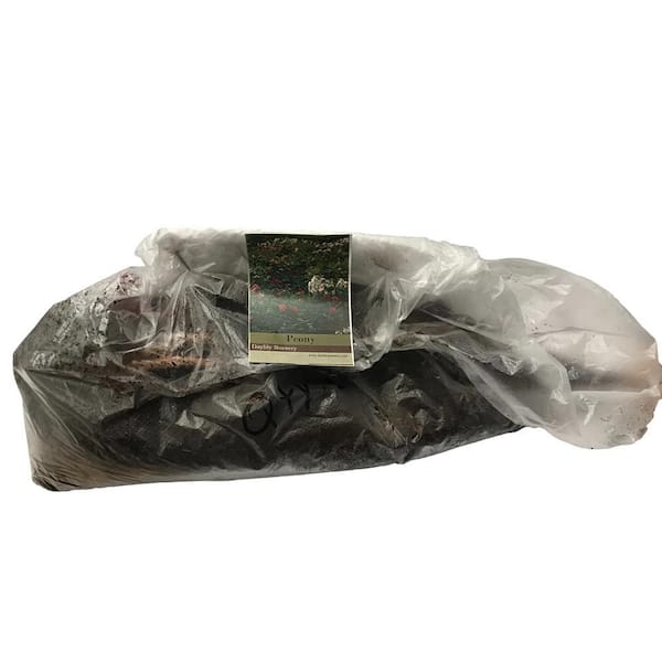 Sarah Bernhardt Peony 1 Bareroot Peony 3-5 Eye