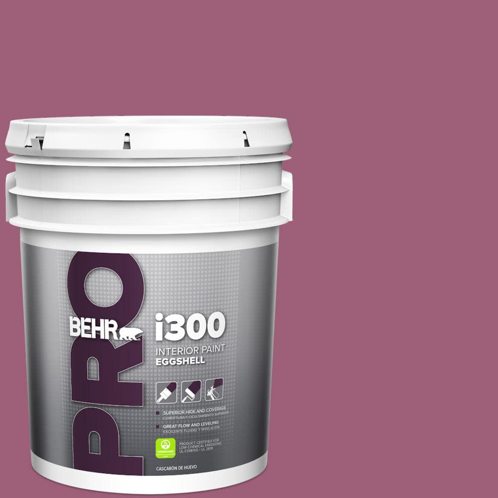 5 gal. #HDC-WR15-2 Passion Plum Eggshell Interior Paint price history on PriceWatchPro