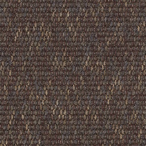 Social Network IV  - Coffee Bean - Brown 21 oz. Nylon Loop Installed Carpet