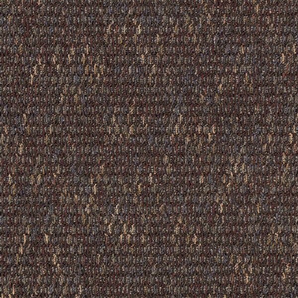 TrafficMaster Social Network IV  - Coffee Bean - Brown 21 oz. Nylon Loop Installed Carpet