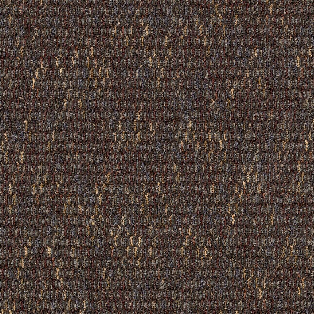 8 in. x 8 in. Loop Carpet Sample - Social Network IV -Color Coffee Bean price history on PriceWatchPro