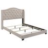 Coaster Sonoma Beige Wood Frame Queen Panel Bed with Nail head Trim 310073Q