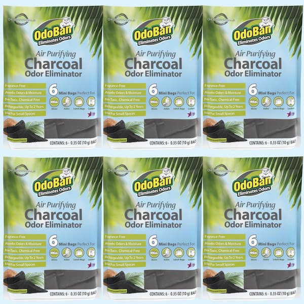 OdoBan 10 g Charcoal Odor Eliminators (6 ct) Natural Odor and Moisture Absorber, Odor Remover Bags for Shoes, Gym Bags (6-Pack)