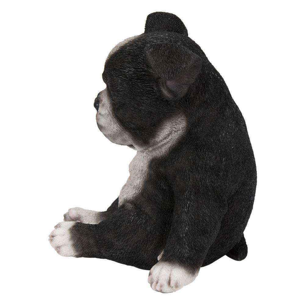 Sleepy Black and White Boston Terrier Puppy Polyresin Statue