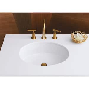 Verticyl Oval Vitreous China Undermount Bathroom Sink in White with Overflow Drain