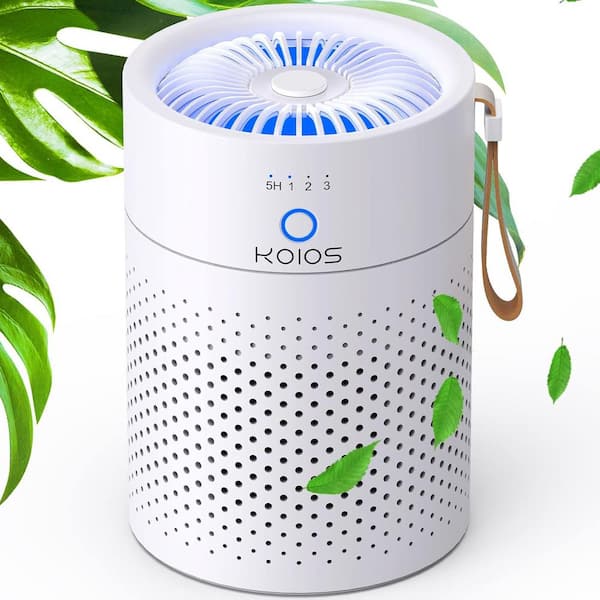 300 sq. ft. HEPA - True Personal Air Purifier in White with Timer, Get Rid of, Dust