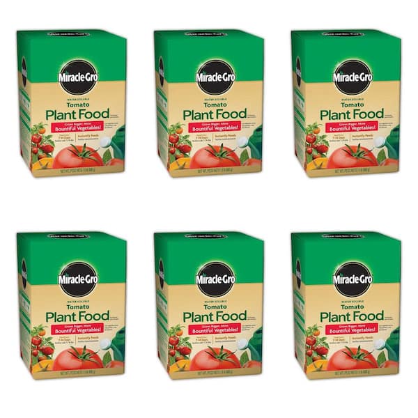Miracle-Gro Water Soluble Tomato Plant Food 1.5 lb. For Tomatoes, Squash,  Peppers, Cucumbers, and All Vegetables (6-Pack) VB21601 - The Home Depot