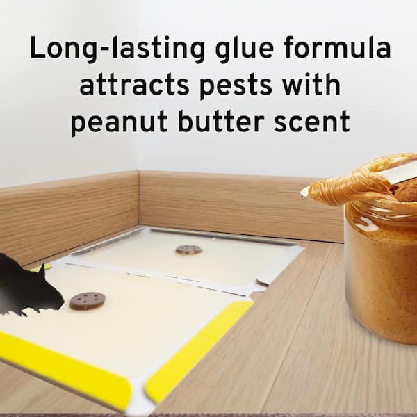 How Effective Are Glue Traps for Keeping Mice Out of Your Laurel Home? -  Phenom Pest Control