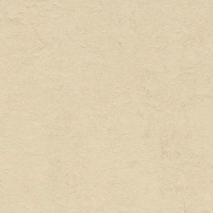 Barbados 9.8 mm Thick x 11.81 in. Wide x 35.43 in. Length Laminate Flooring (20.34 sq. ft./Case)