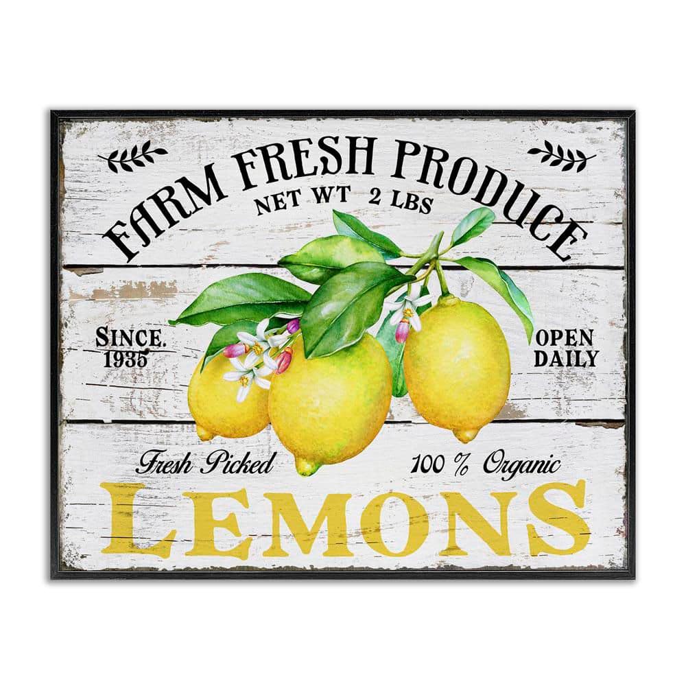 Farm Fresh Produce Lemons by Creatif Belle Black Framed Food Giclee Art Print 11 in. x 14 in. price history on PriceWatchPro