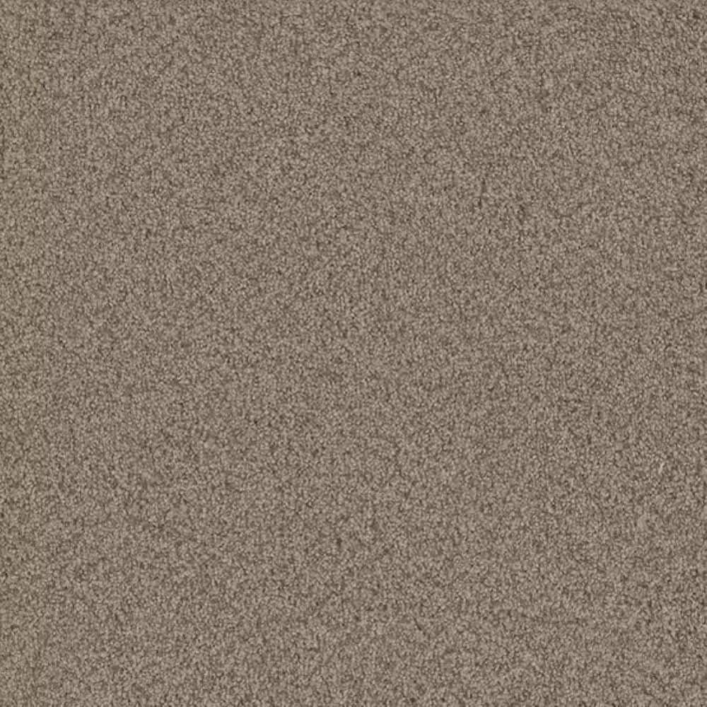 8 in. x 8 in. Texture Carpet Sample-Meringue I-Color Kiss price history on PriceWatchPro