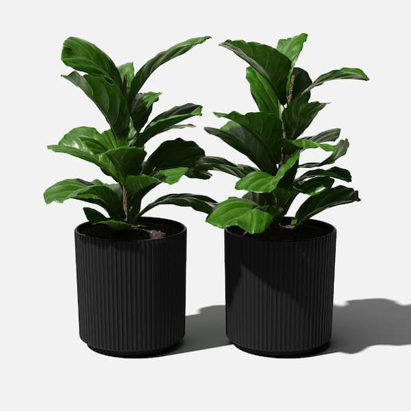 Demi 20 in. Round Black Plastic Planter (2 Pack)