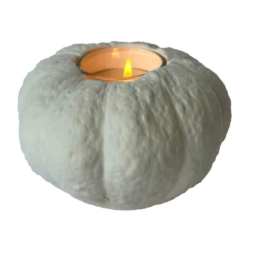 Studio White Gypsum 5 in. Dia x 3 in. H Gourd #7 Votive Candleholder Home D