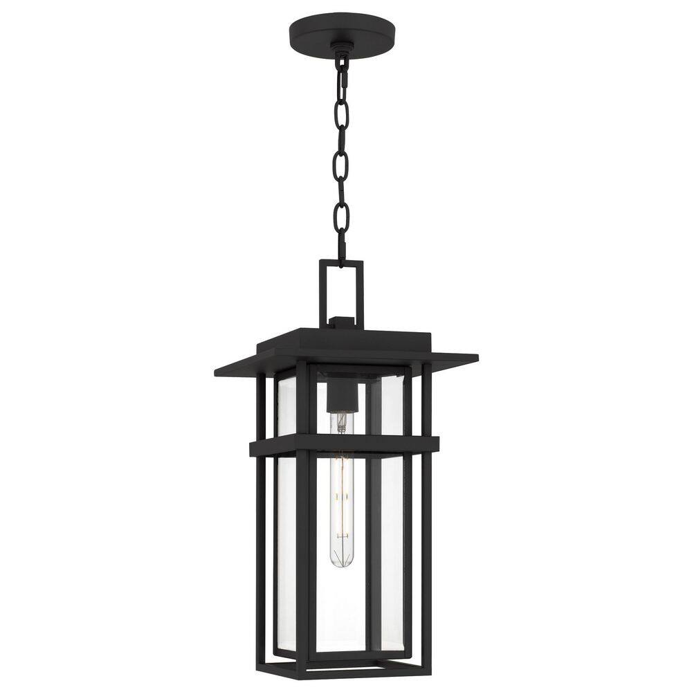 Morgan 100-Watt 1 Light Earth Black Outdoor Pendant Light with Clear Beveled Glass Shade price history on PriceWatchPro