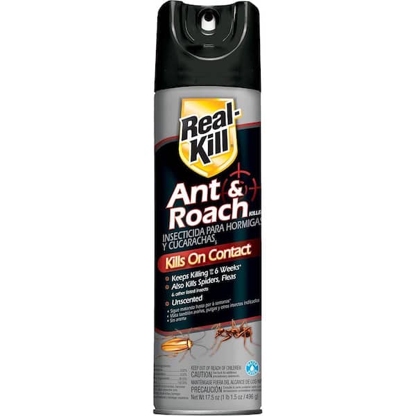 17.5 oz. Ant and Roach Insect Killer Aerosol Spray