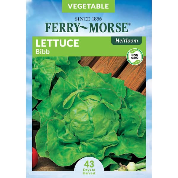 Ferry-Morse Lettuce Bibb Heirloom Vegetable Seed