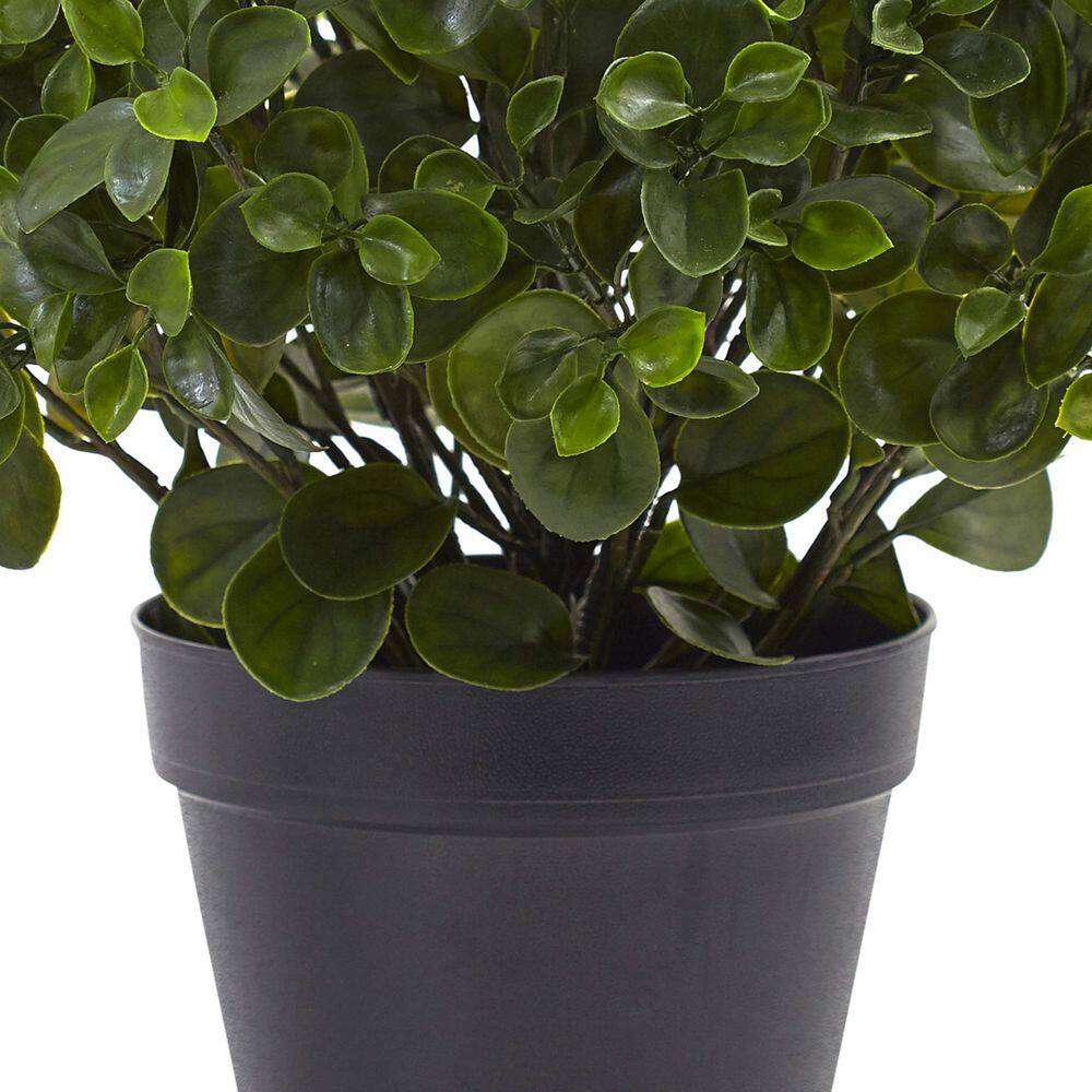Lush Outdoor 24" UV-Resistant Peperomia in Black Pot