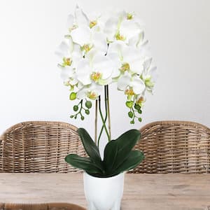 25 in. Cream White Artificial Phalaenopsis Orchid Flower Arrangement in White Modern Ceramic Pot