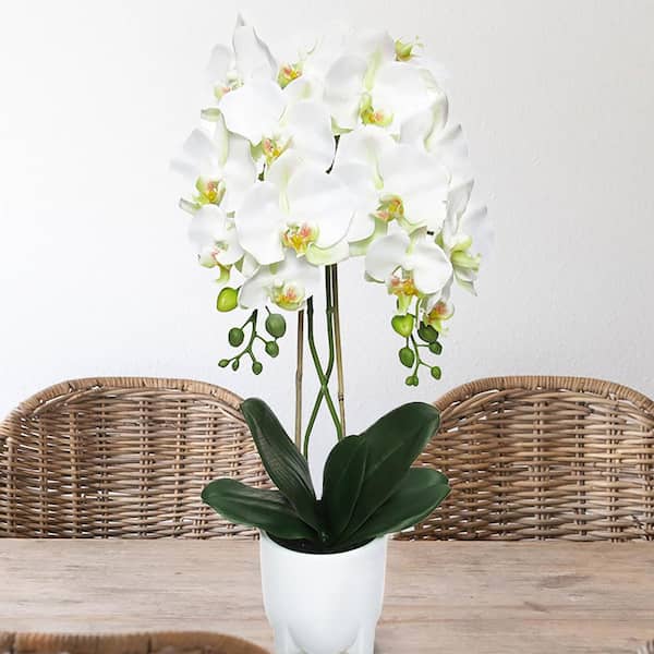 LIVING LUXURY 25 in. Cream White Artificial Phalaenopsis Orchid Flower Arrangement in White Modern Ceramic Pot