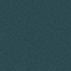 Watercolors II - Willow Brook - Blue 38.4 oz. Polyester Texture Installed Carpet