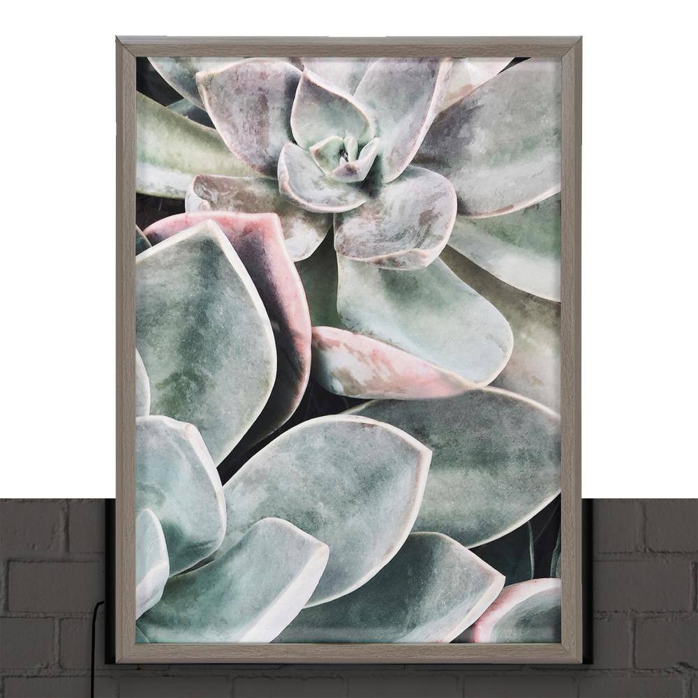 Blake Botanical Succulent Plants Framed Glass Wall Art, 18" x 24"