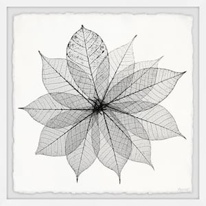 "Leaf Structure" by Marmont Hill Framed Nature Art Print 24 in. x 24 in.