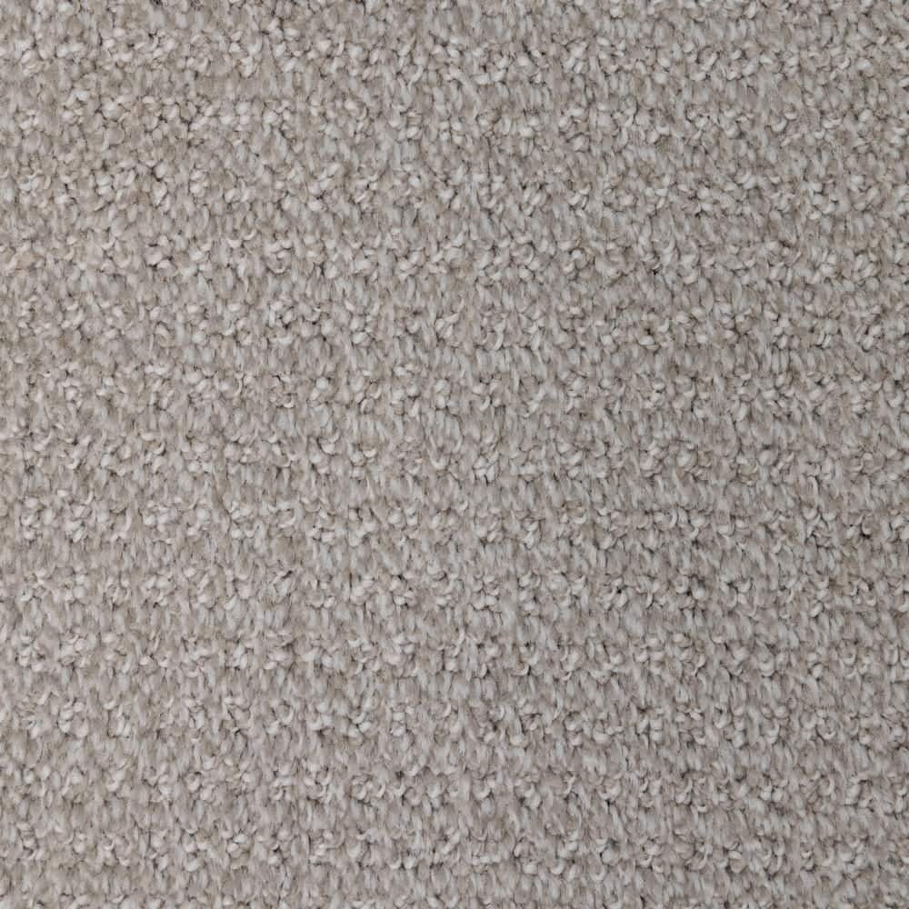 8 in. x  8 in. Pattern Carpet Sample - Tailgate Classic -Color Jaguar price history on PriceWatchPro