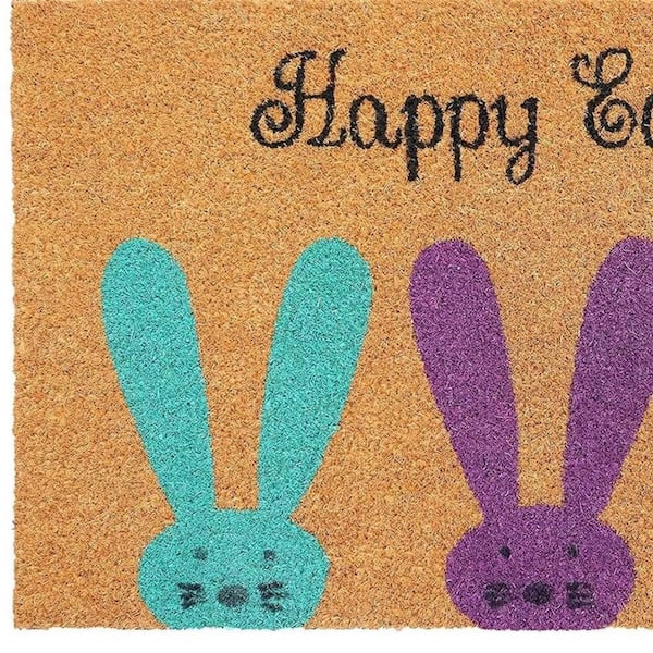 Multi-Colored 29 in. x 17 in. Coir Outdoor Door Mat