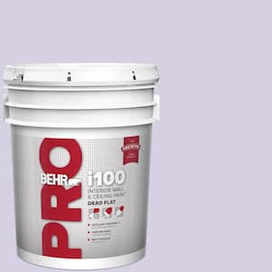 5 gal. #M560-2 Fanciful Dead Flat Interior Paint
