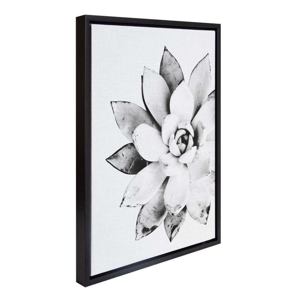 Black and White Succulent Canvas Print with Polystyrene Frame, 18x24