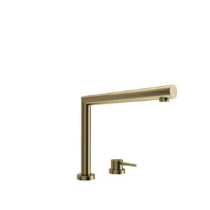 Baveno Move Single Handle Telescopic Standard Kitchen Faucet in Brushed Gold