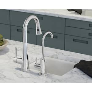 Sleek Single-Handle Pull-Down Sprayer Bar Faucet Featuring Reflex and Power Clean in Chrome