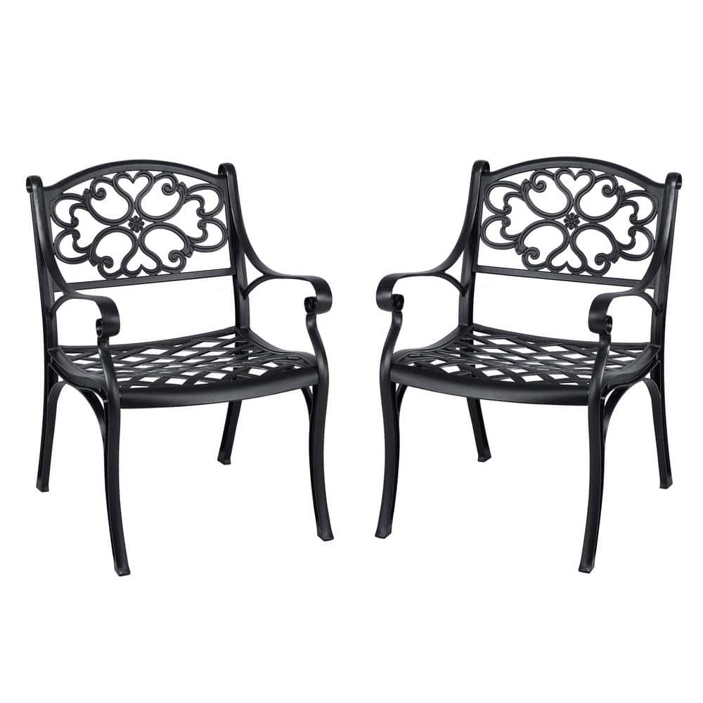 Tidoin Black Cast Aluminium Outdoor Dining Chair Set of 2 DiHYD46WG