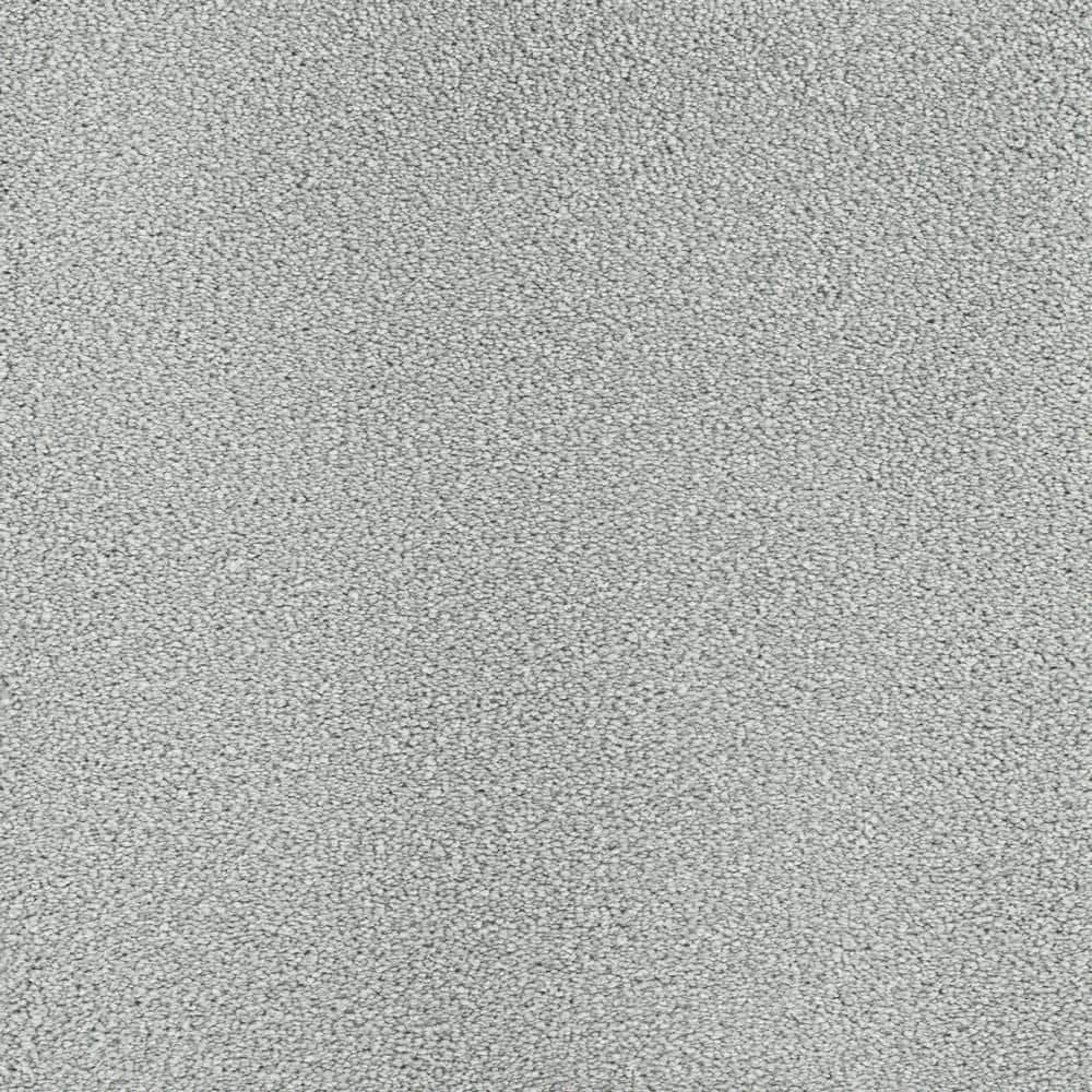 8 in. x  8 in. Texture Carpet Sample - Spicework II -Color Eastwood price history on PriceWatchPro