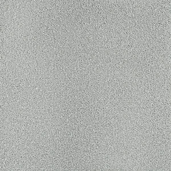 Spicework I  - Eastwood - Gray 40 oz. SD Polyester Texture Installed Carpet