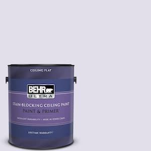 1 gal. #M560-1 Sweet Bianca Ceiling Flat Interior Paint and Primer